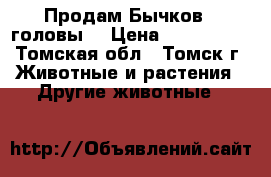 Продам Бычков 2 головы. › Цена ­ 10-15000 - Томская обл., Томск г. Животные и растения » Другие животные   